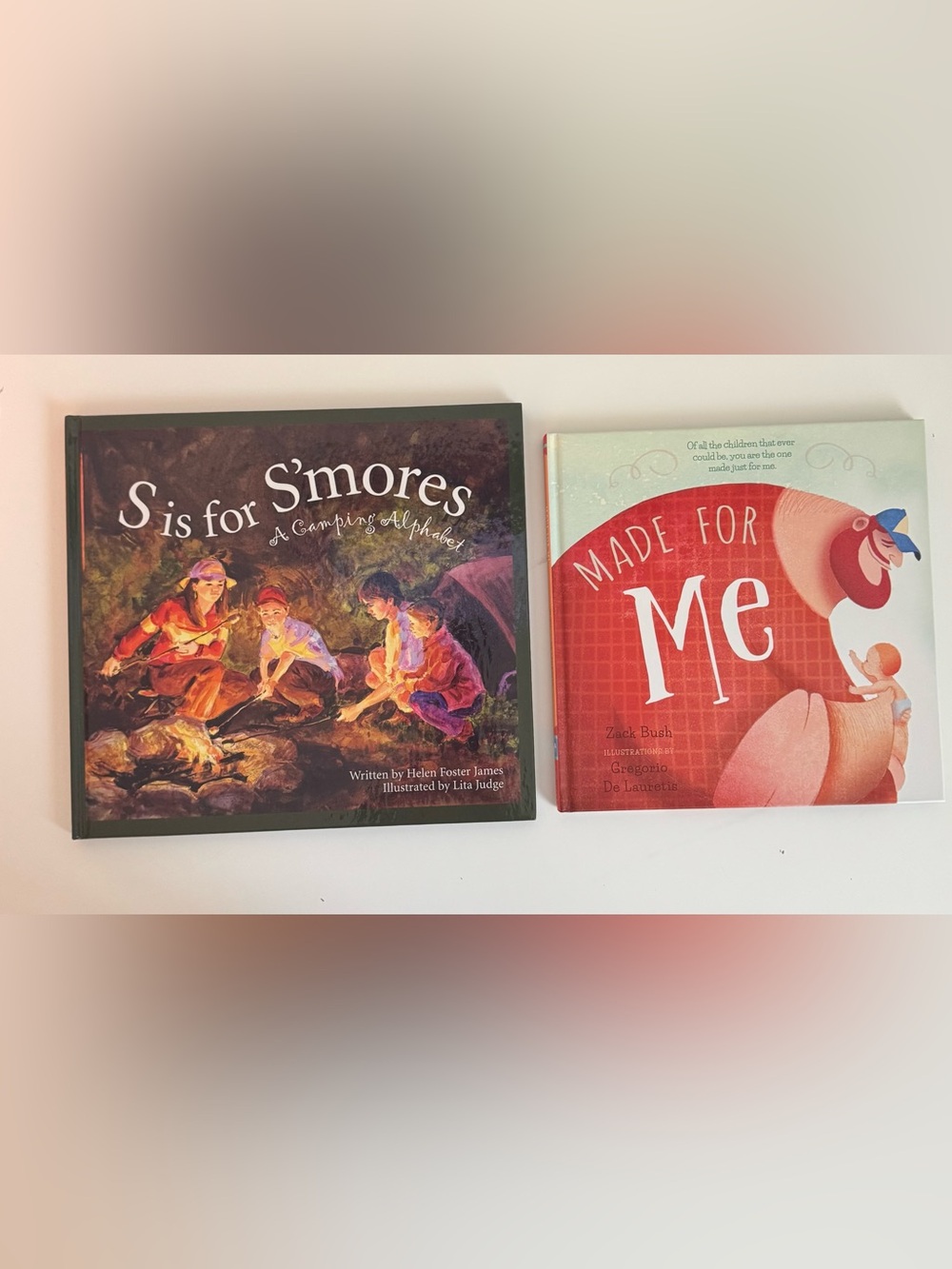 S'mores: A Camping Alphabet Illustrated Kids Book - Brown & Red Cover